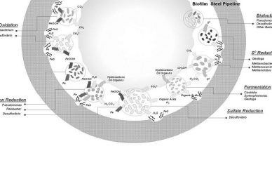 خوردگی میکروبی – Microbially induced corrosion